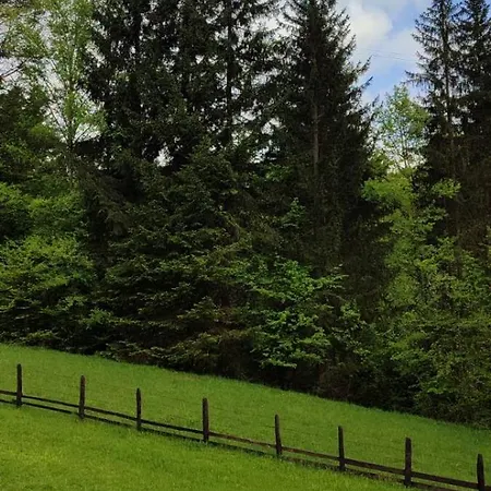 Forest Escape *