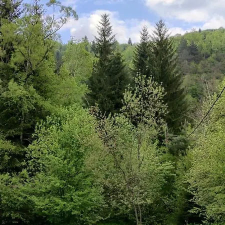 Forest Escape Casa vacanze Ivisovo Greblje